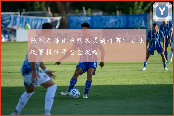 欧冠足球比分购买渠道详解：合法观赛投注平台全攻略