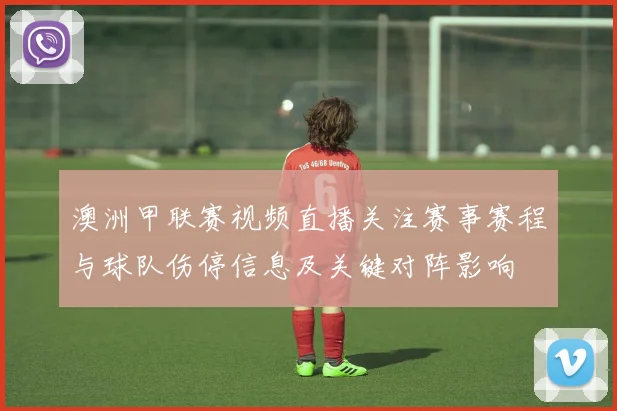 澳洲甲联赛视频直播关注赛事赛程与球队伤停信息及关键对阵影响