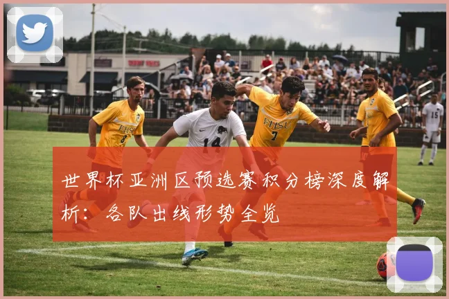 世界杯亚洲区预选赛积分榜深度解析：各队出线形势全览