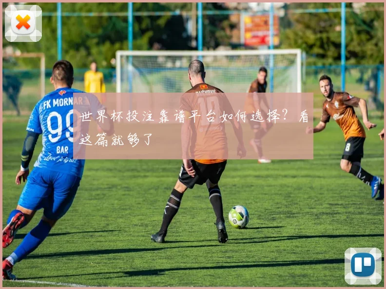世界杯投注靠谱平台如何选择？看这篇就够了