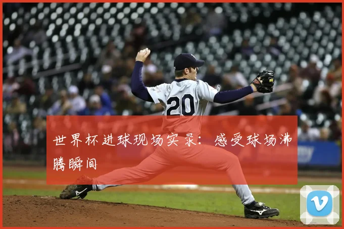 世界杯进球现场实录：感受球场沸腾瞬间