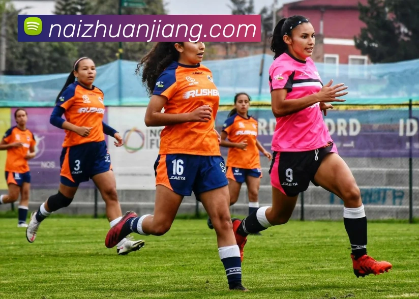 米兰网页版官网入口平台生态图