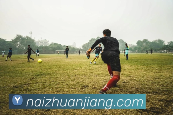 米兰网页版官网入口APP 封面图